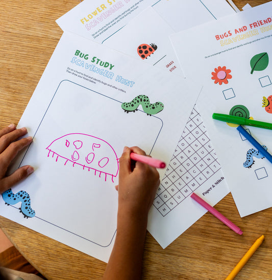 Bug Lovers Activity Pack